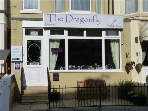 the dragonfly. the dragonfly.