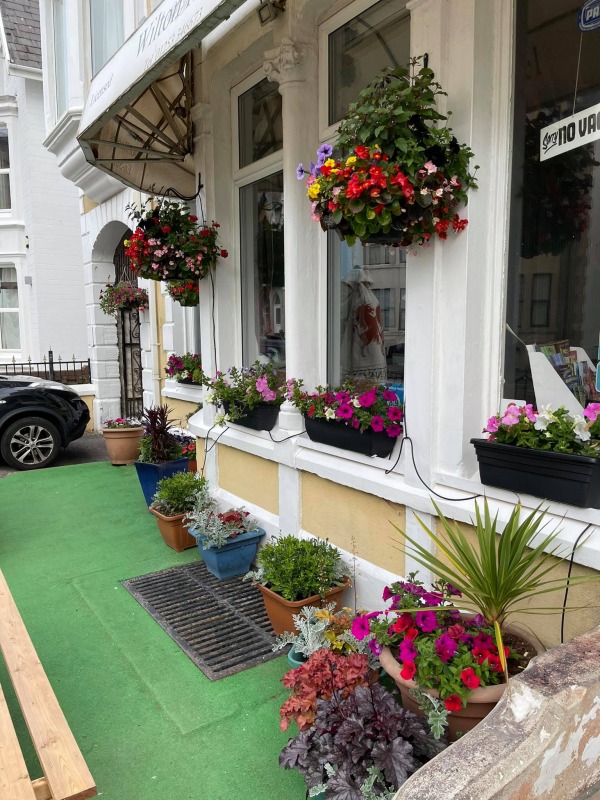 the wilton hotel the wilton hotel